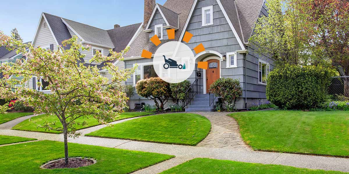 The Full Yard Cleanup and Maintenance Guide