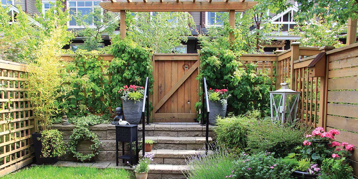 Backyard Garden with vibrant and luscious greenery.