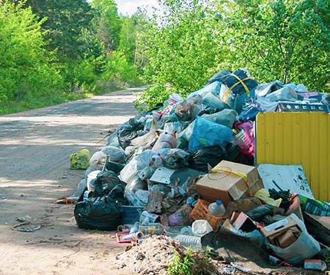 Pile of Trash on Side of Road