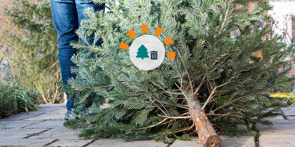How To Revive Old Christmas Village Houses For Your Tree and More