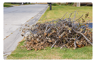 A pile of brush for curbside disposal.