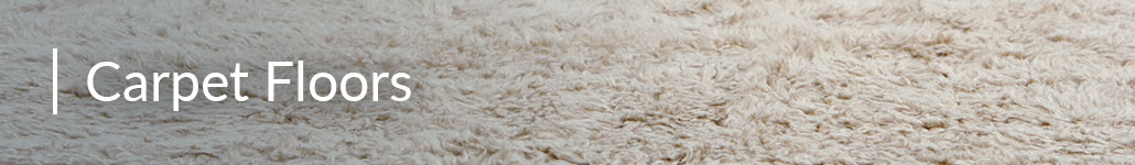 Carpet Flooring in a Banner Photo.