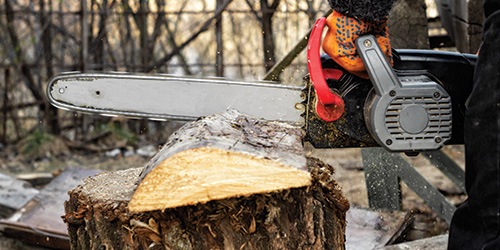  A Chainsaw Cutting a Piece of Tree Stump