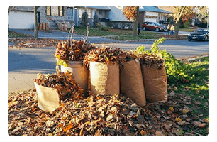 Multiple bags filled with leaves.