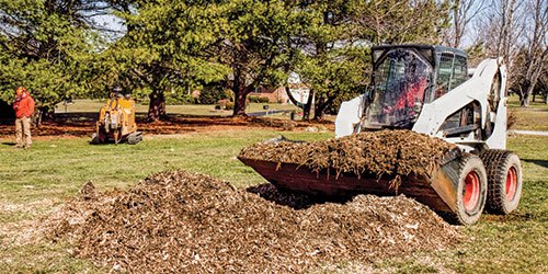 A Vehicle Removing Yard Waste